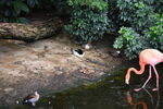 DSC_9178.JPG